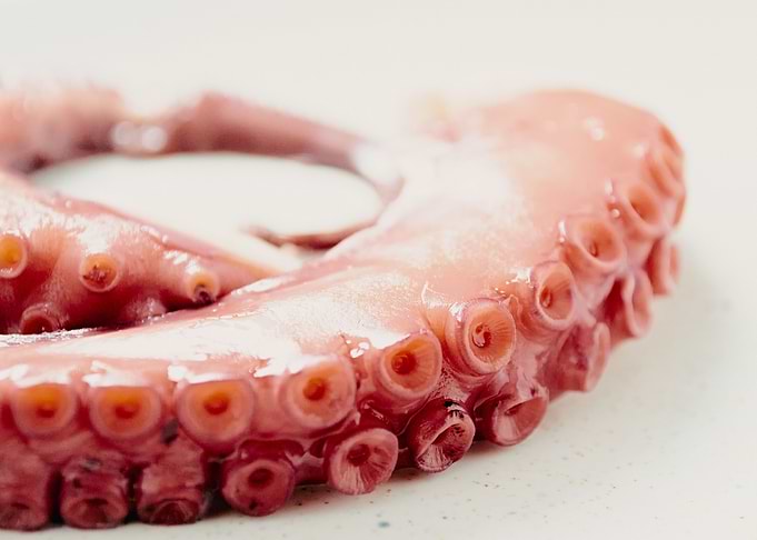Boiled octopus