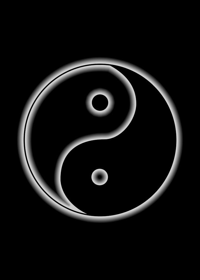 kung fu logo yin yang
