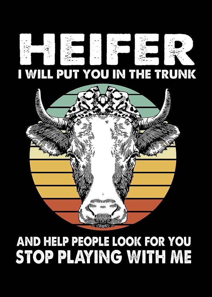 Funny Heifer Cow