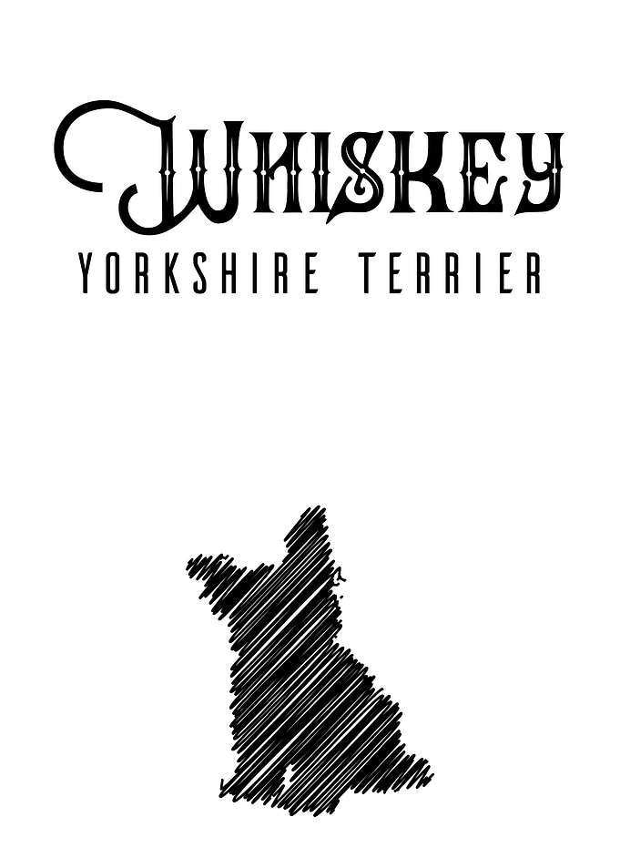 Whiskey