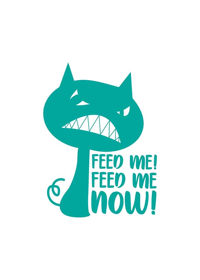 Feed Me Feed Me Now