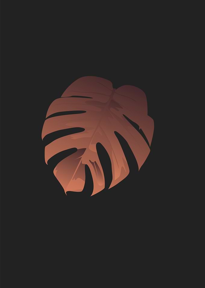 monstera leaf5