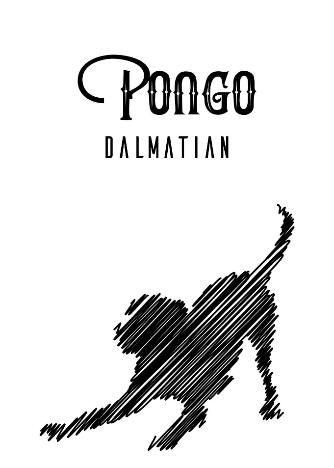 Pongo