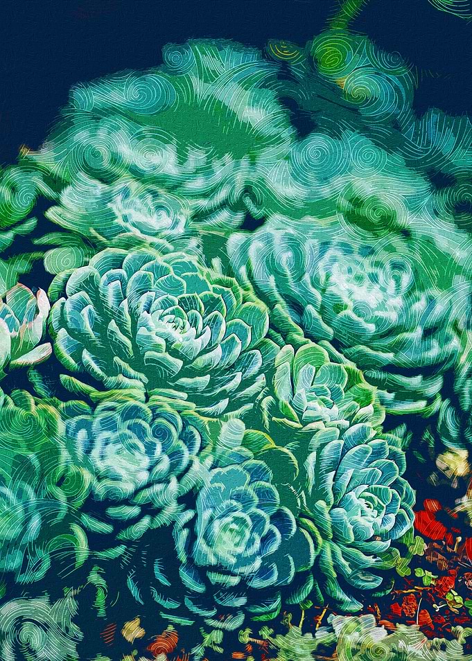 Small Succulent Vegetation