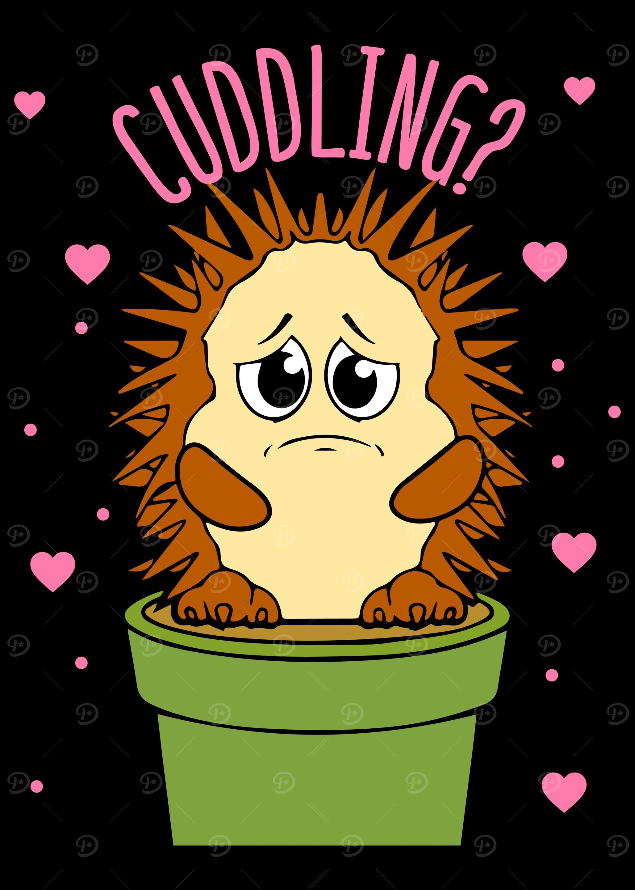 Funny Cute Hedgehog Cuddle