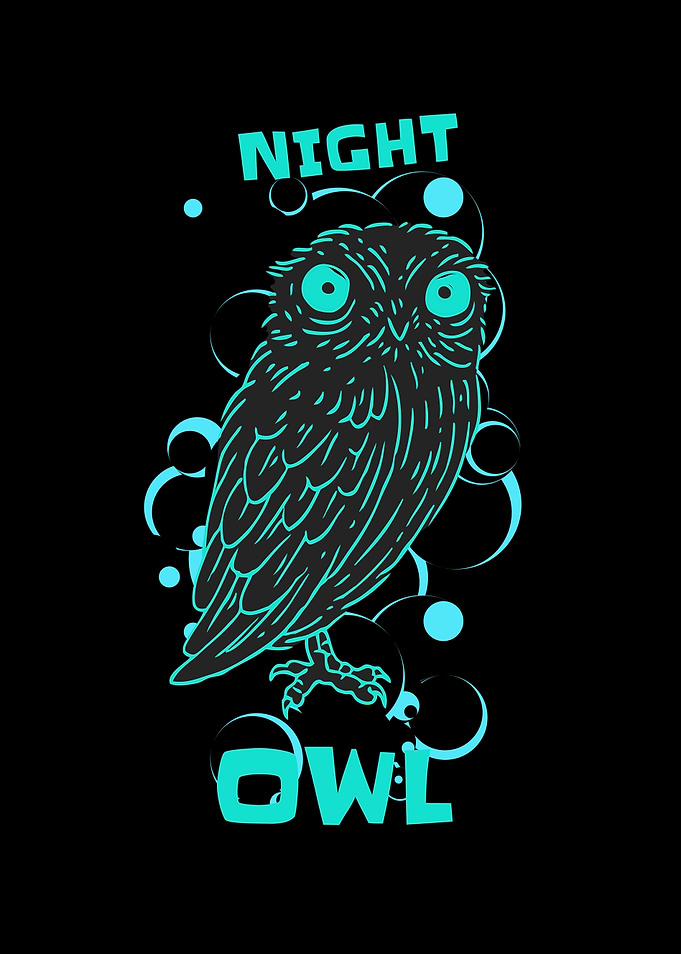 Funny Night Owl Gamer