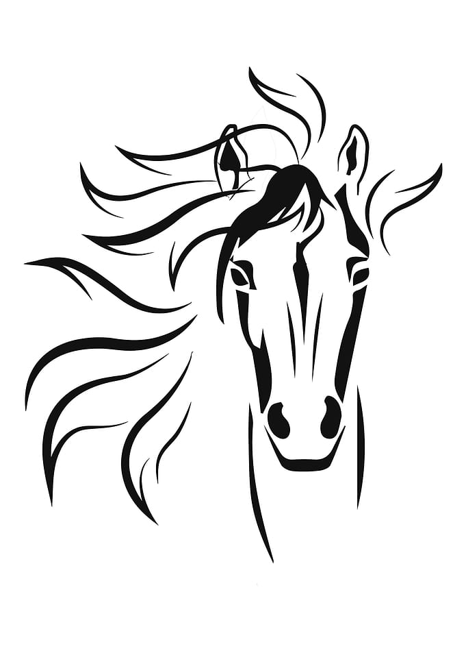 Horse Silhouette Gift