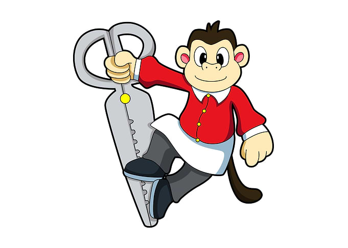 Monkey Hairdresser