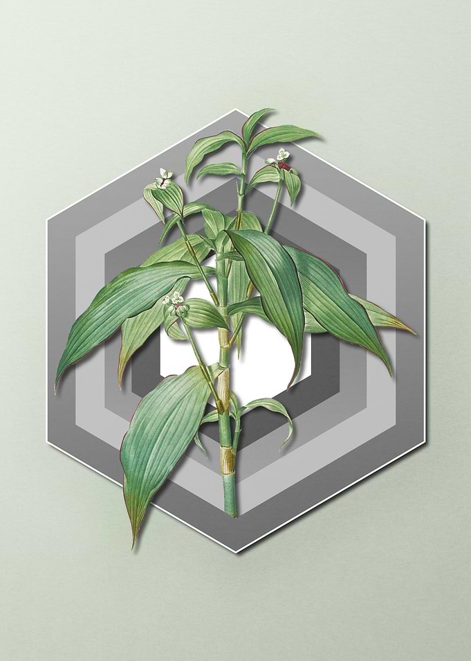 Geometric Floral on Pastel