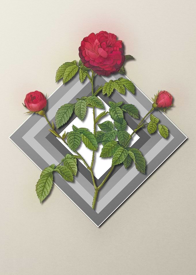 Geometric Agatha Rose Gray