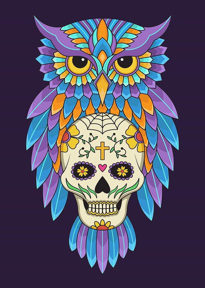 Skull and owl