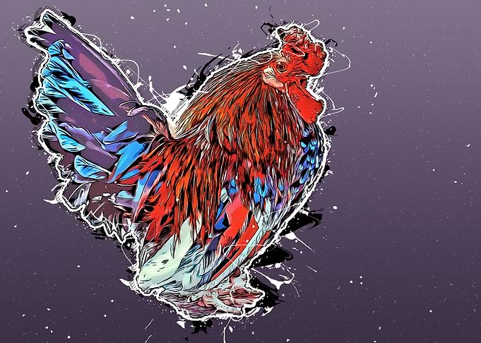 Rooster animal art