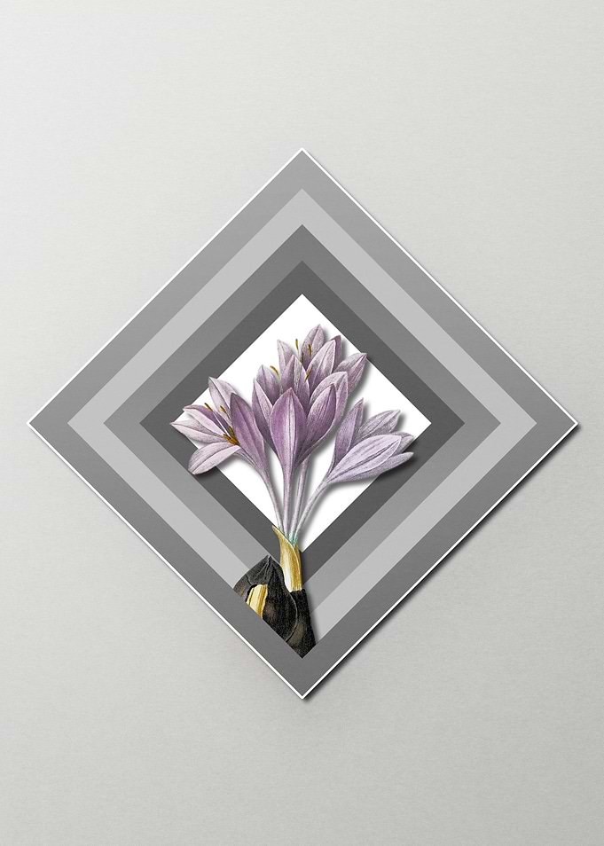 Crocus on Paper Diamonds