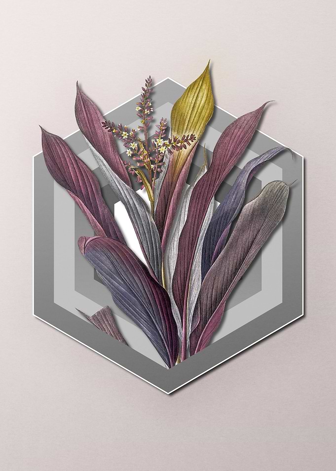 Cordyline on Paper Shield