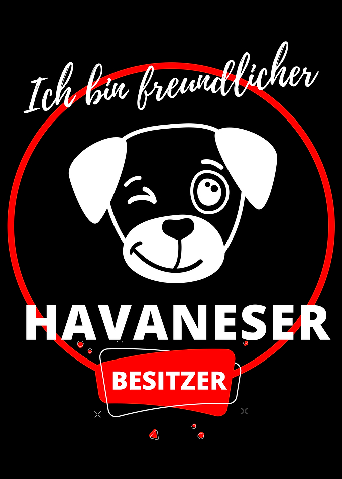 Freundlicher Havaneser