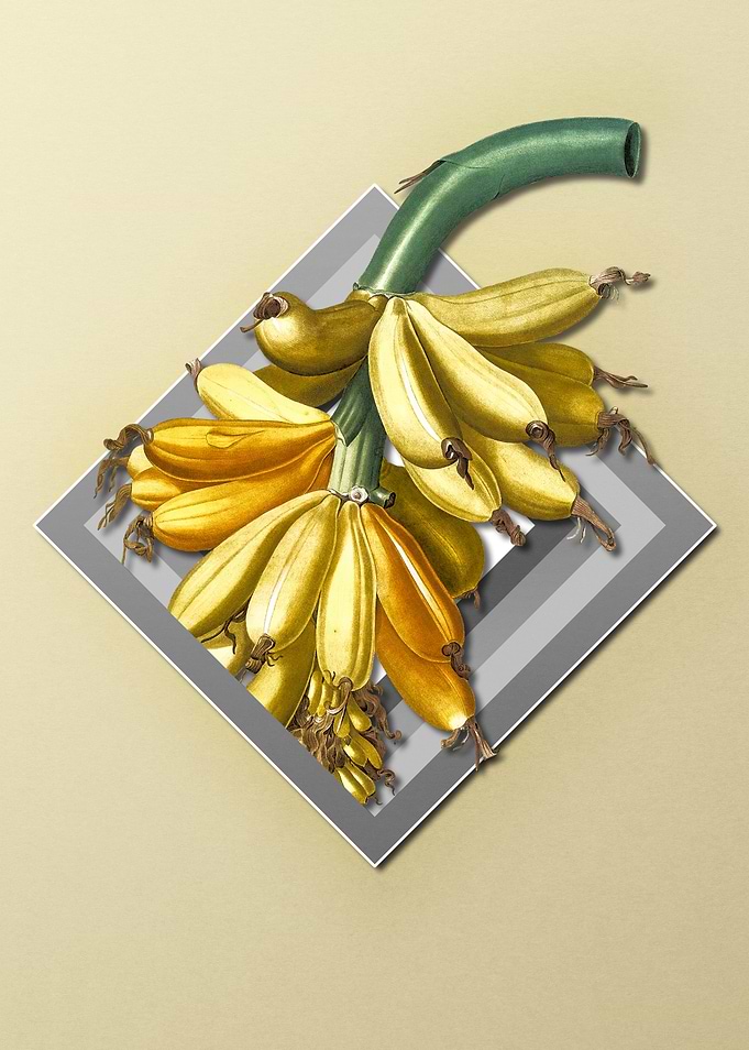 Bananas on Paper Diamonds