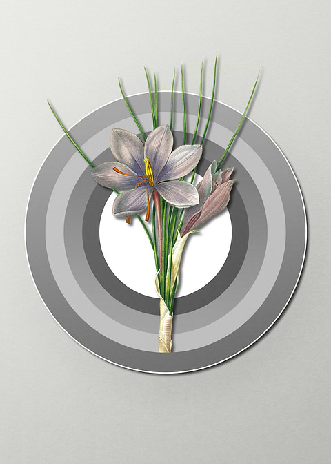 Geometric Autumn Crocus