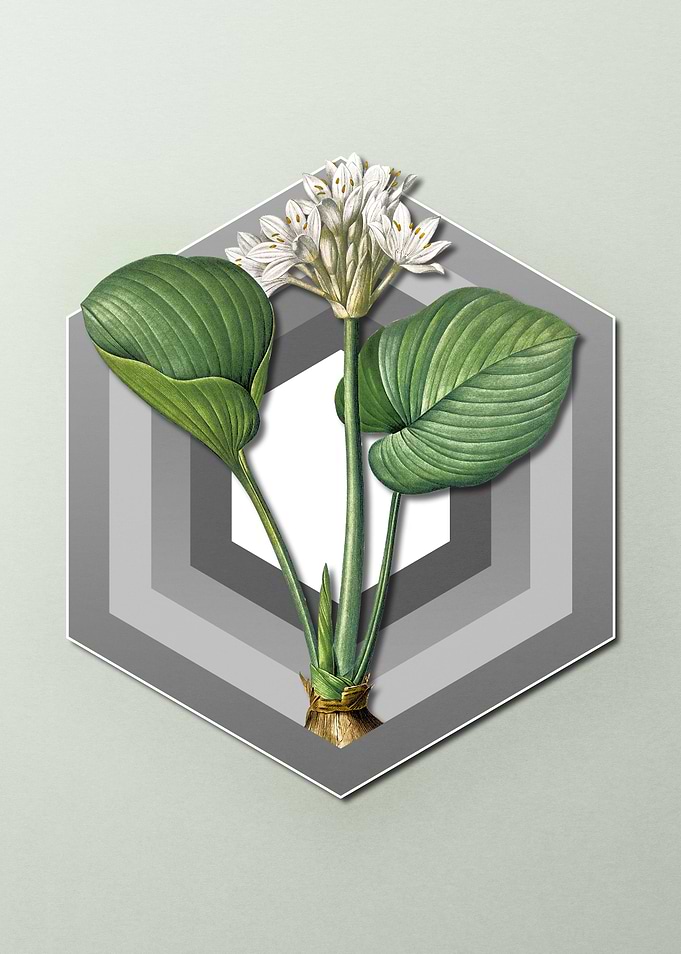 Geometric Floral Lily Art