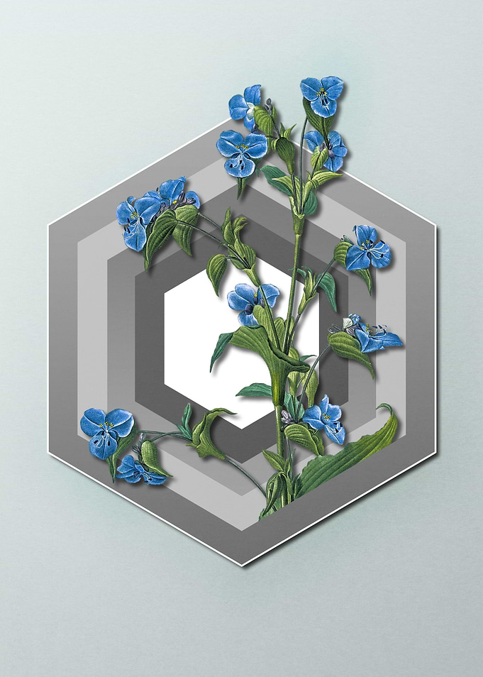 Geometric Floral on Pastel