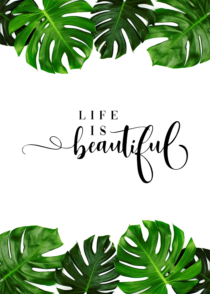 life is beautiful