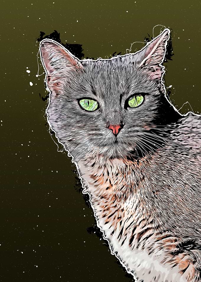 Cat animal art