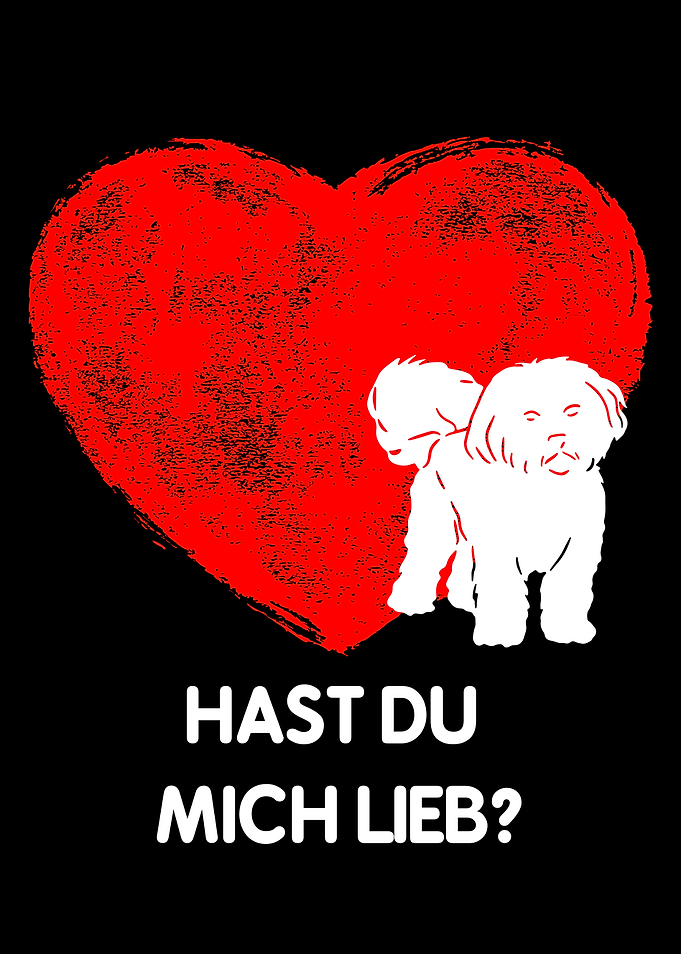 Havaneser Liebe Rot