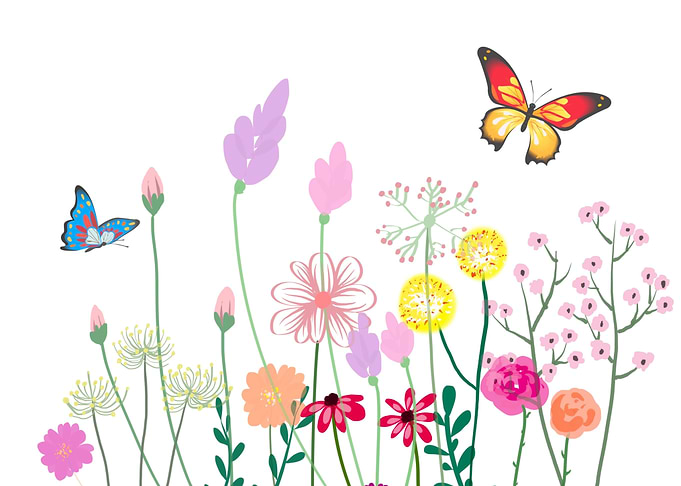 Summer flowers butterflies