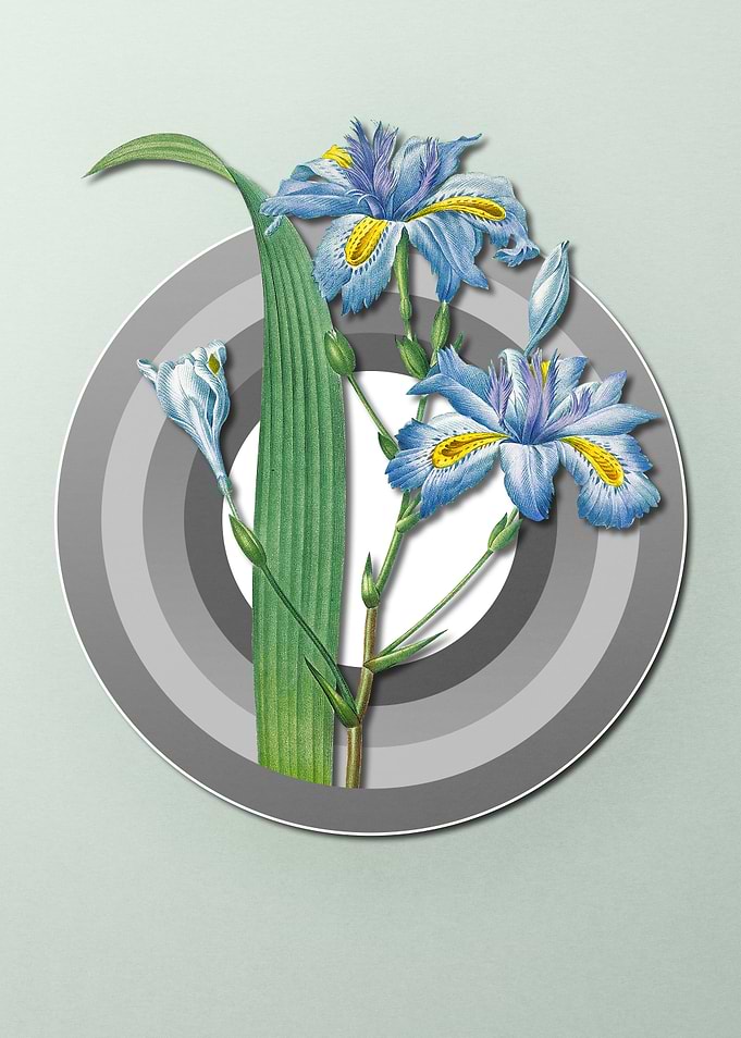 Pastel Floral Blue Iris
