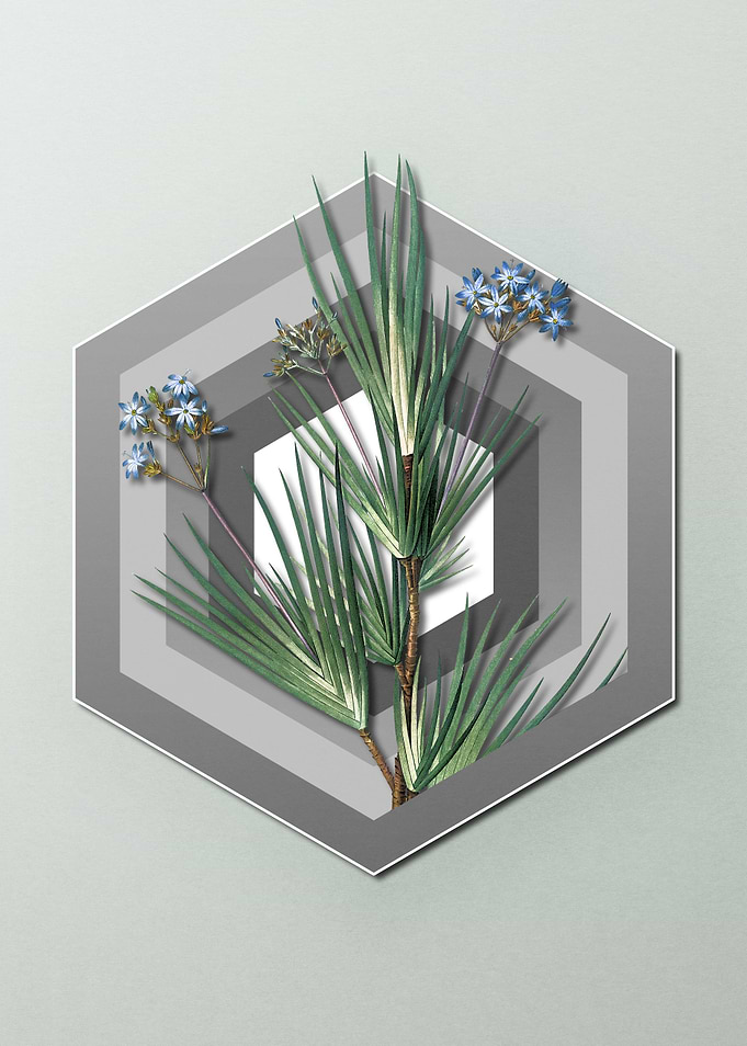 Geometric Floral on Pastel