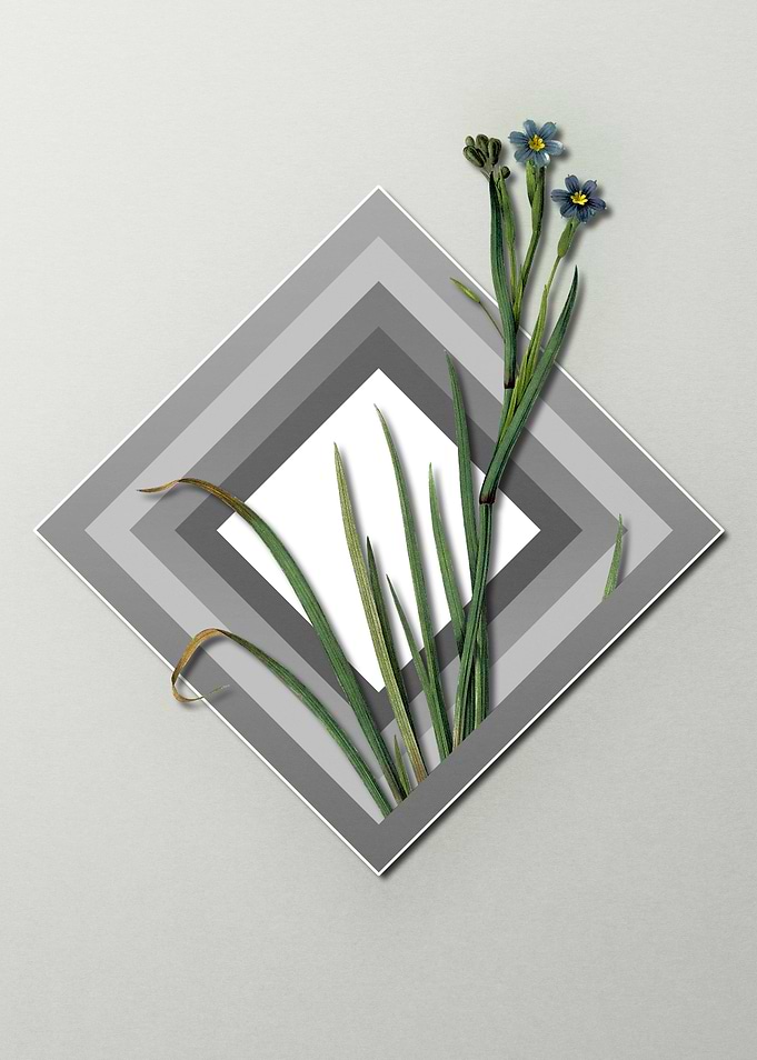 Florals on Paper Diamonds