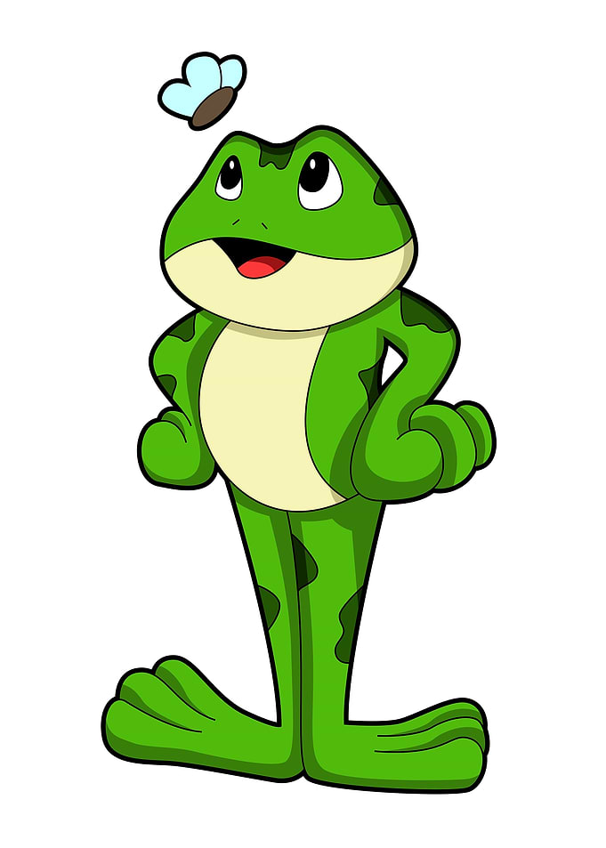 Frog Fly