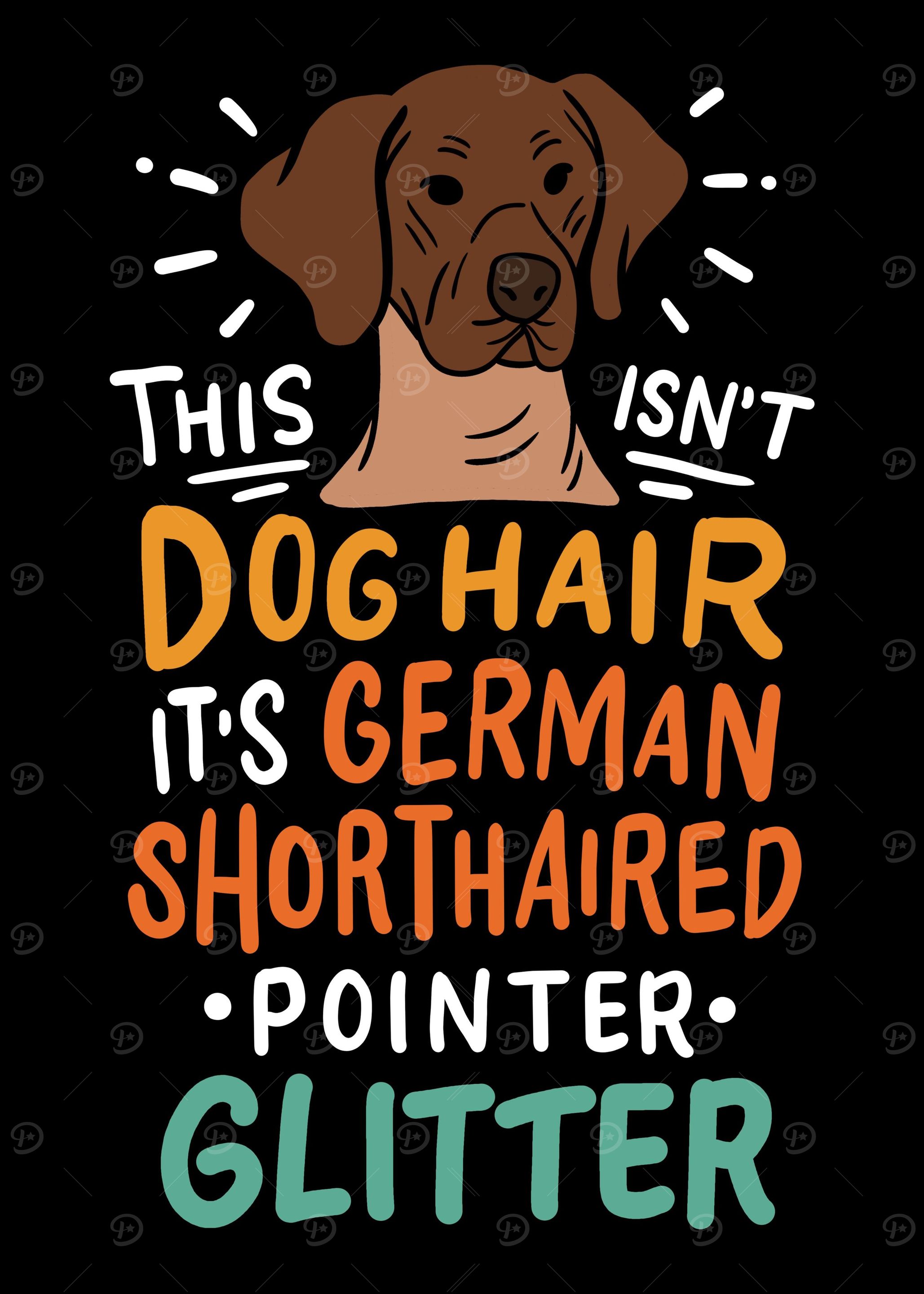 German Shorthaired Pointer