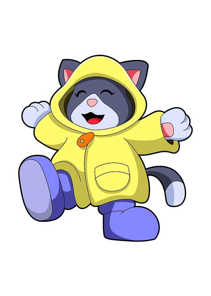 Cat Raincoat