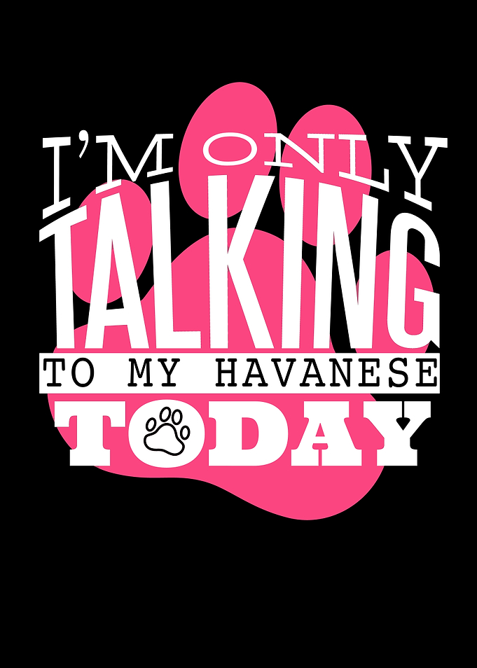 Talking to my havanese dog