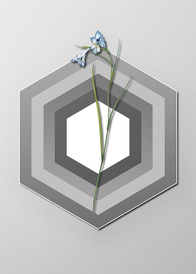 Geometric Floral on Pastel