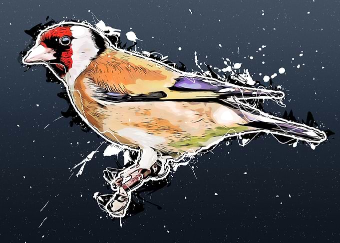 goldfinch bird art
