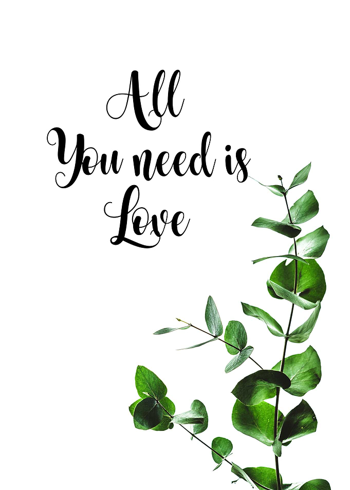 all you need is love