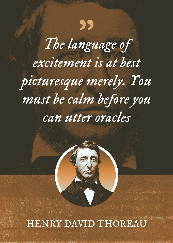 The language of excitement