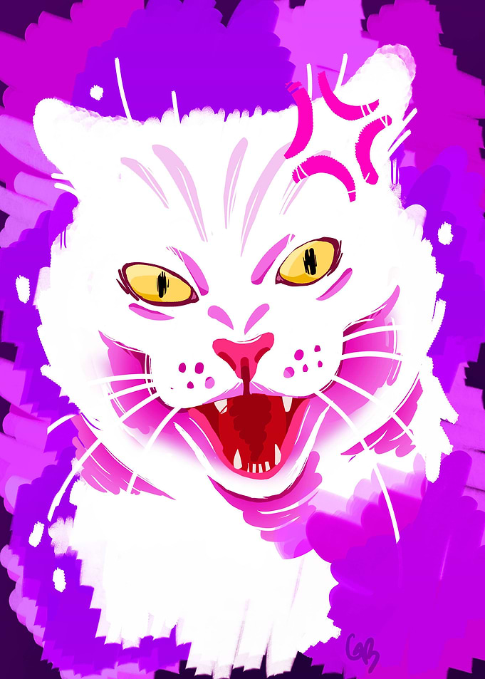 Amgry Cat