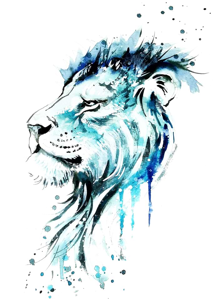 Lion Study in Blue