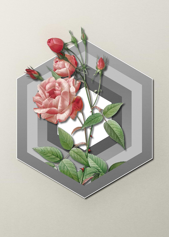 Geometric Floral Roses