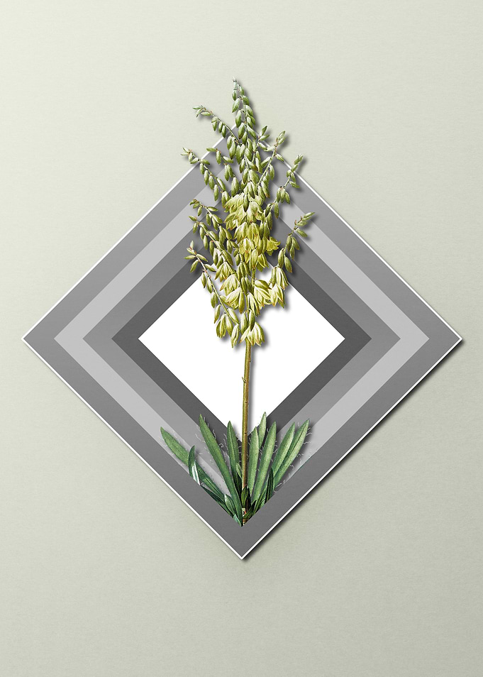 Geometric Adams Needle