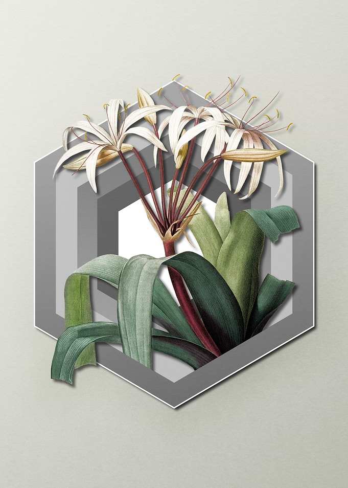 Flower on Paper Shield