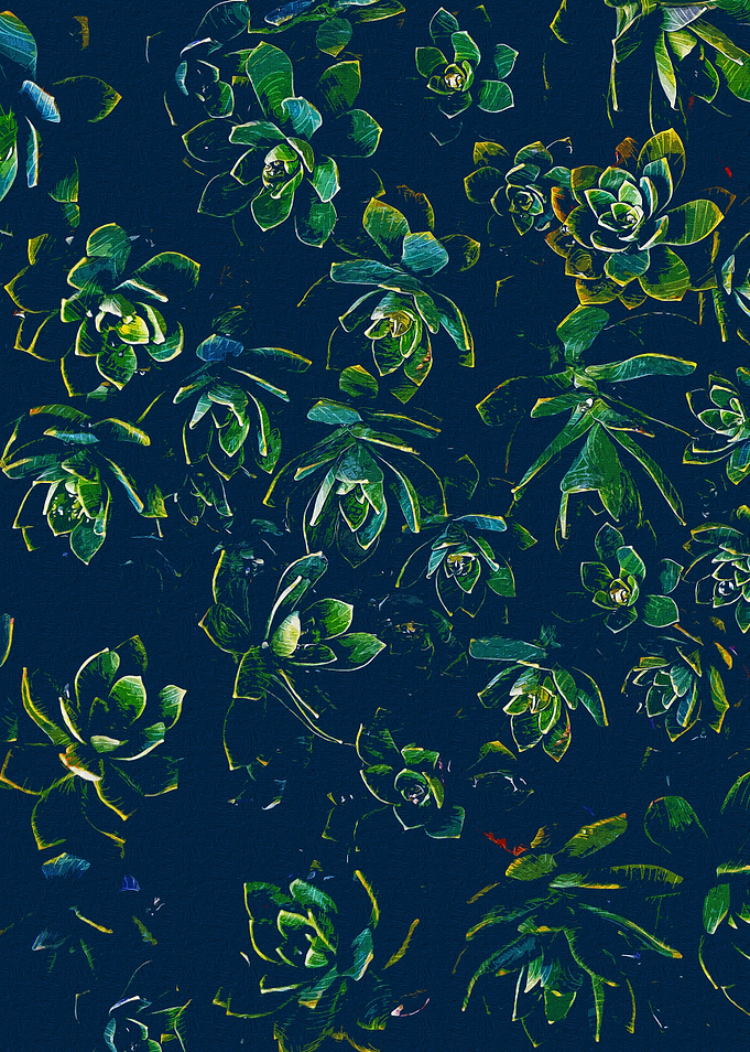Succulent Leaves Pattern