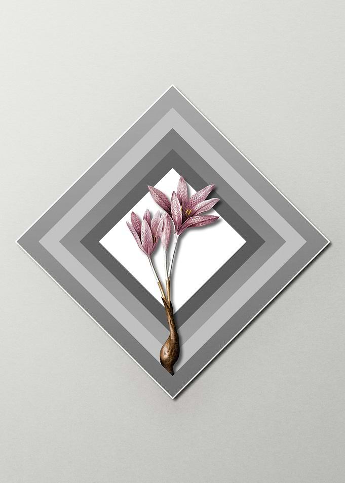 Crocus on Paper Diamonds