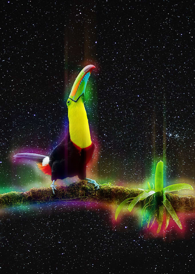 Toucano in space