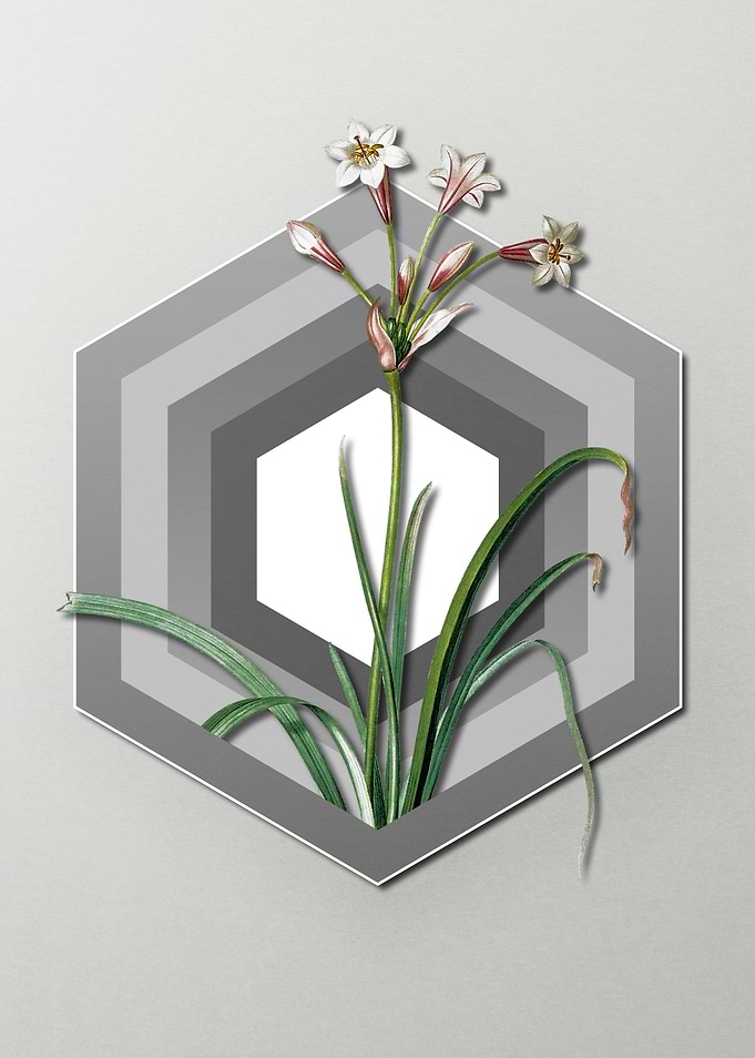 Flower on Paper Shield
