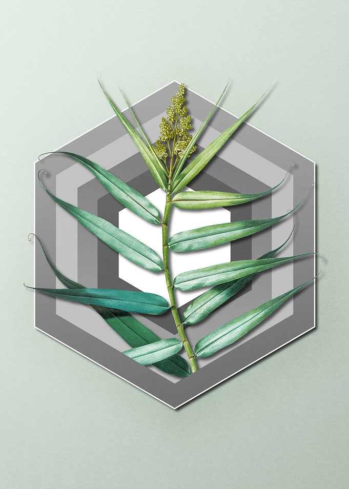 Geometric Floral Bush Cane