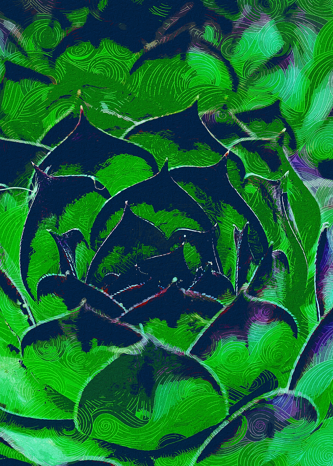 Succulent Natural Pattern