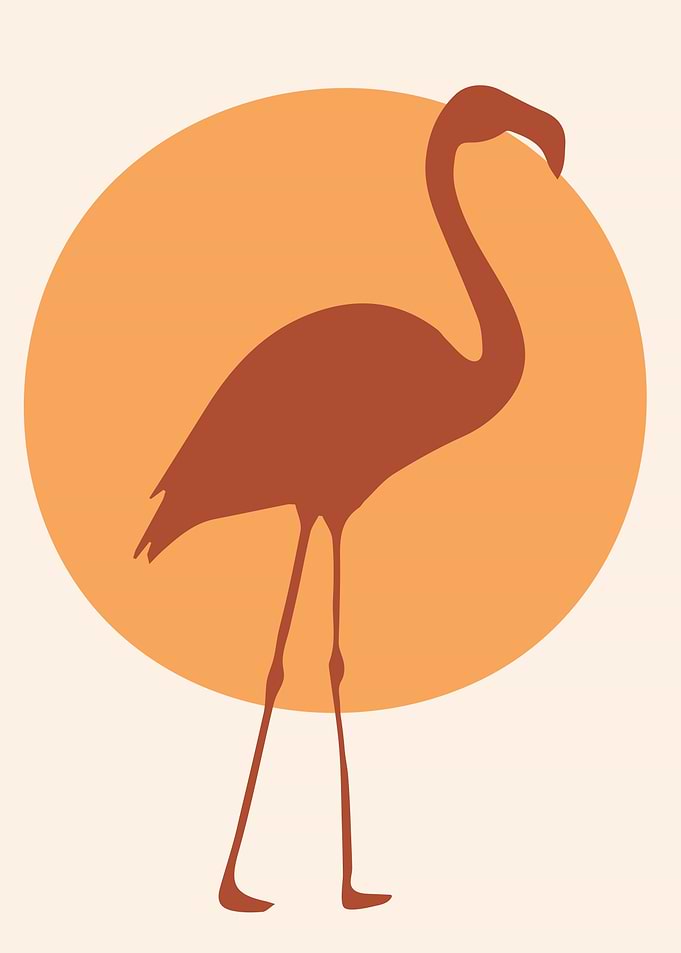 Pink Flamingo